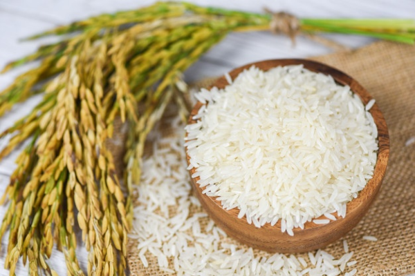 Đại lý gạo EcoLife cung cấp gạo ST25 chính hãng, giá tốt