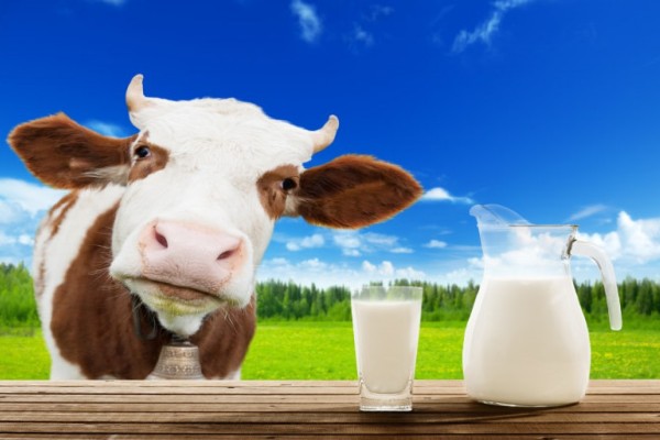 sữa Aptamil Organic