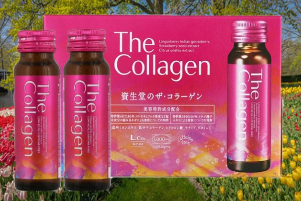 collagen la gi (2)
