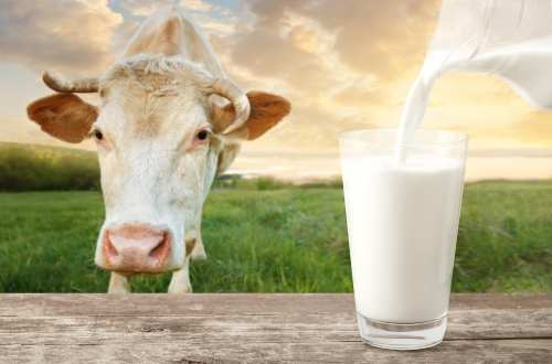 Những điều mẹ cần biết về sữa Aptamil essensis số 1