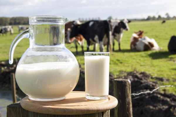 sữa organic hữu cơ