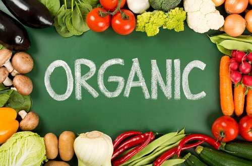 Thực phẩm hữu cơ Organic là gì?