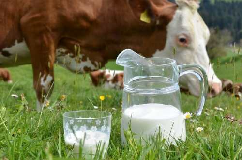 Lưu ngay 3 dòng sữa organic hữu cơ đứng Top