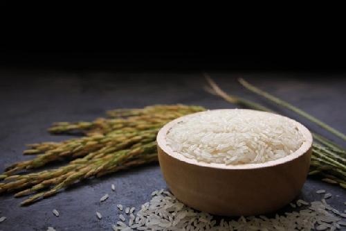 Đại lý gạo TP HCM tổng hợp 5 loại gạo bán chạy nhất hiện nay