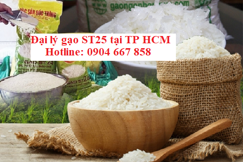 Đại lý gạo ST25 tại thành phố Hồ Chí Minh đáng tin cậy nhất