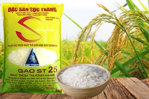 Đại lý gạo ST25 tại Hà Nội uy tín, đảm bảo chất lượng nhất