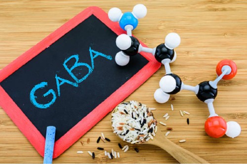 Vai trò chất GABA trong gạo lứt nảy mầm