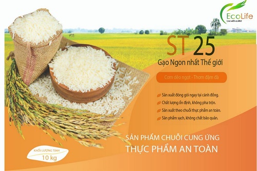 Vì sao nói gạo Việt Nam ngon nhất thế giới?