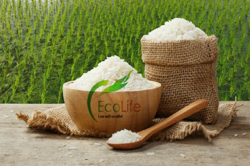 Gạo sạch EcoLife - nguồn dinh dưỡng vàng cho sức khỏe