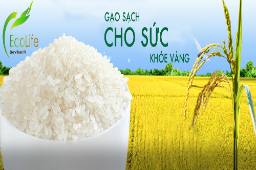 EcoLife - Đại lý gạo Bình Thạnh ngon sạch, giá rẻ nhất hiện nay.