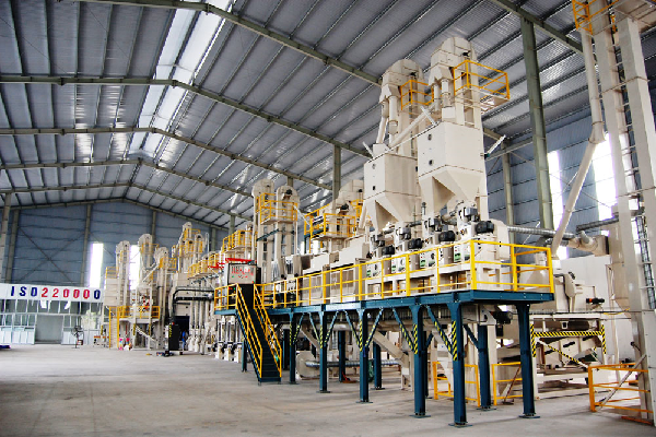 Nhà máy sản xuất gạo ST25 ngon nhất thế giới đạt chuẩn xuất khẩu