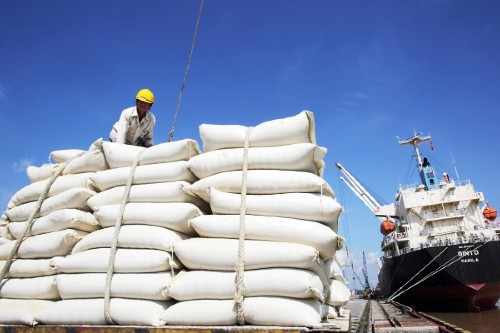 Hành trình vươn ra toàn cầu của gạo Việt Nam ngon nhất thế giới ST25