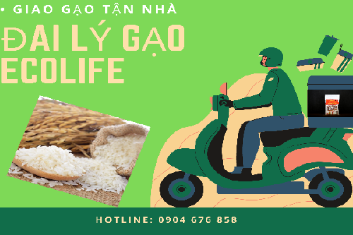 Dịch vụ giao gạo tại nhà trong 2h tại Hà Nội và TP HCM 
