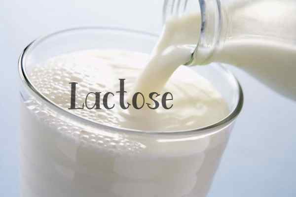 lactose free