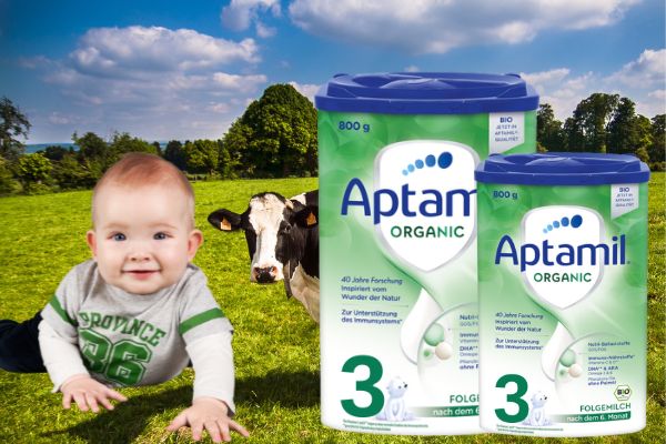 Sữa Aptamil Organic và các món súp hải sản - Thực đơn cực dinh dưỡng cho bé