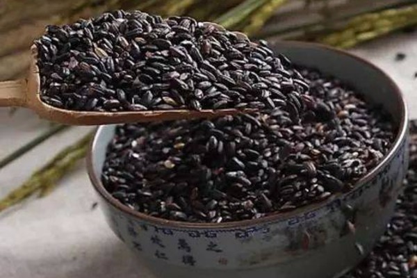 Gạo đen chứa hàm lượng chất dinh dưỡng cao