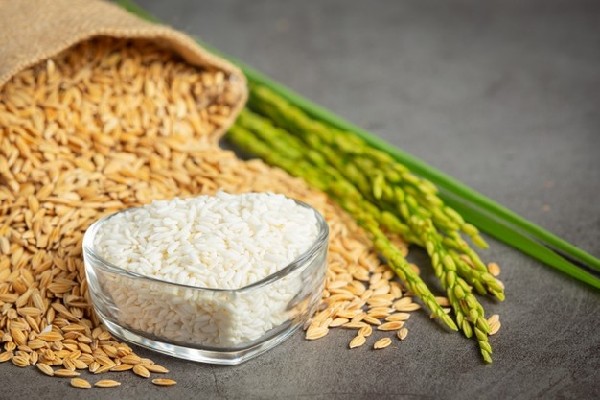 EcoLife tự tin và cam kết là nhà phân phối gạo sạch chính hãng với giá thành tốt nhất trên thị trường hiện nay.