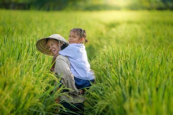 EcoLife đang miễn phí vận chuyển ngay với hóa đơn mua từ 20kg gạo tại khu vực Hà Nội và Hồ Chí Minh.