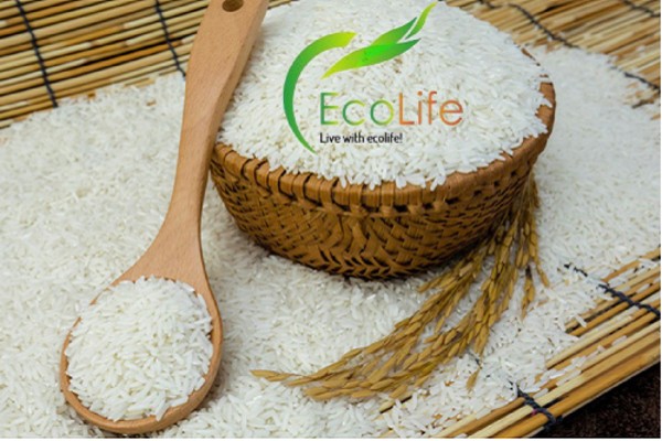 EcoLife -  cửa hàng gạo st24,st25 được nhiều bà nội trợ tin dùng