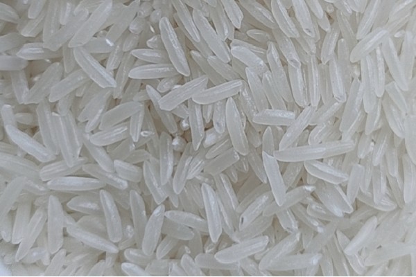 Những hạt gạo ST25 thon dài, trắng, đều hạt trông rất bắt mắt