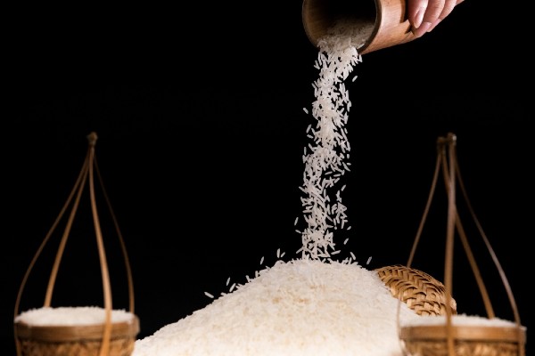 Giá gạo ST25 dao động từ khoảng 35.000 - 50.000 VNĐ/kg. Các khu vực đại lý gạo phía Bắc thường sẽ chịu giá cao hơn do tốn các khoản chi phí vận chuyển.