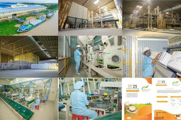Quy trình sản xuất gạo của EcoLife từ nhà máy tại Cần Thơ