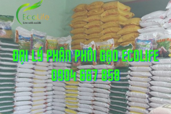 Sản phẩm gạo sạch tại đại lý gạo EcoLife rất đa dang và phong phú