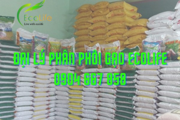 Gạo sạch EcoLife đa dạng và phong phú theo nhu cầu của người dùng