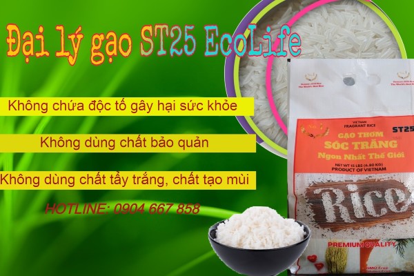 Gạo sạch EcoLife ra đời mang theo tâm huyết phát triển thương hiệu gạo Việt sạch, an toàn cho sức khỏe, chất lượng cao đồng thời mang đến dịch vụ mua sắm tiện lợi và nhanh chóng.