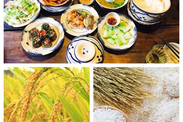 EcoLife ngày càng gần gũi trong từng bữa cơm gia đình Việt