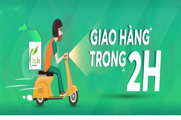 Đại lý giao gạo nhanh tại Thanh Xuân miễn phí vận chuyển, giao nhanh trong 2h