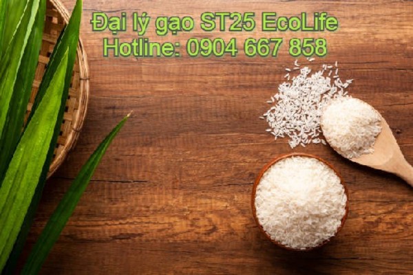 EcoLife là đơn vị chuyên cung cấp và phân phối thực phẩm sạch, gạo Sóc Trăng 25 chính hãng đến người tiêu dùng khắp cả nước