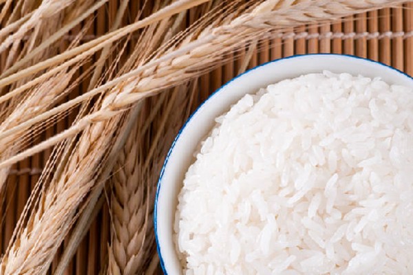 Đại lý gạo của bạn chỉ có thể kinh doanh vận hành ổn định nếu bạn có thể tìm kiếm được nguồn cung ổn định, chất lượng và giá tốt.