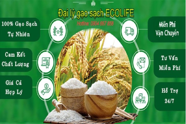 Chính sách dành cho khách hàng tại đại lý gạo EcoLife