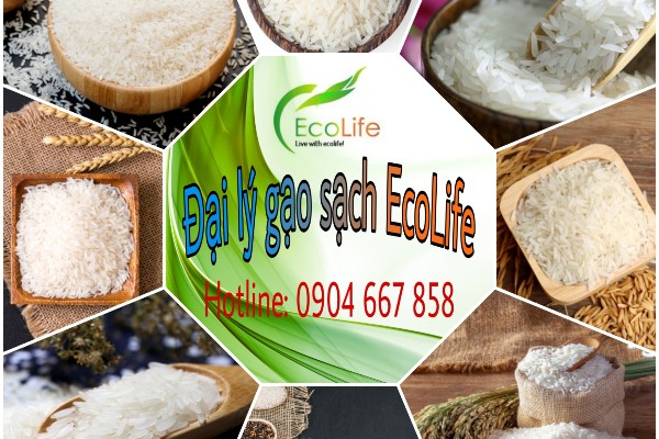 EcoLife với đa dạng các loại gạo từ bình dân tới cao cấp
