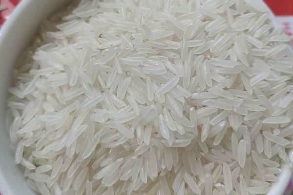 Hạt gạo ST25 thon dài, trắng trong và không bị bạc bụng