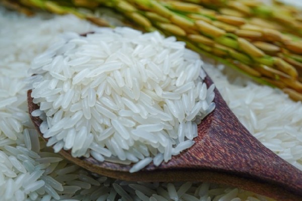 Hiện nay, gạo ST25 đang được bán tại các cửa hàng của đại lý EcoLife ở khu vực TP HCM và Hà Nội với mức 32.000 đồng/kg.