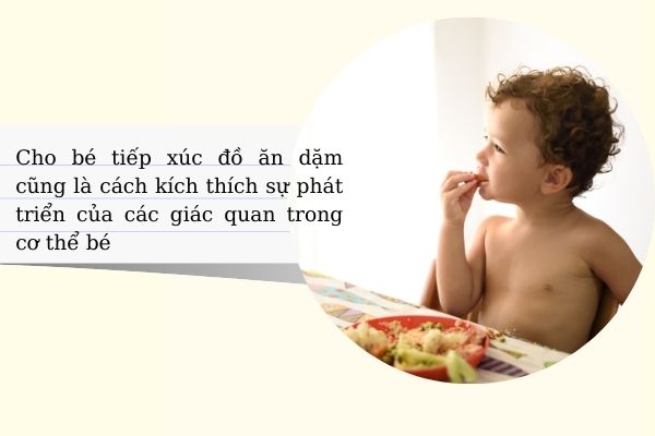 Một chế độ ăn dặm đa dạng và cân đối là điều cần thiết