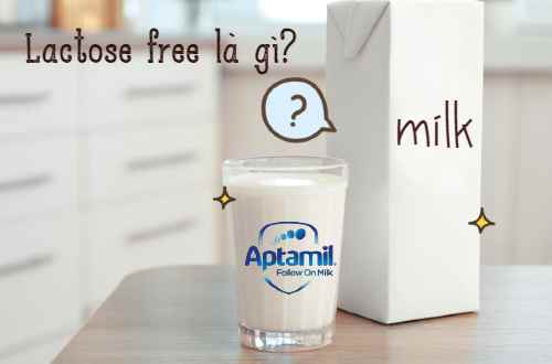 Loại sữa free lactose nào tốt cho trẻ?