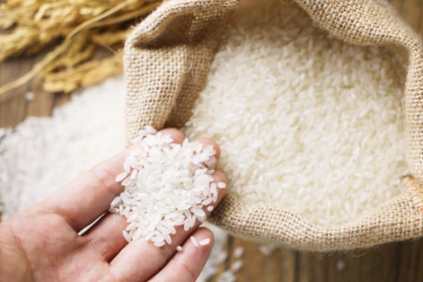 Tập trung vào các sản phẩm chủ lực cho xuất khẩu gạo